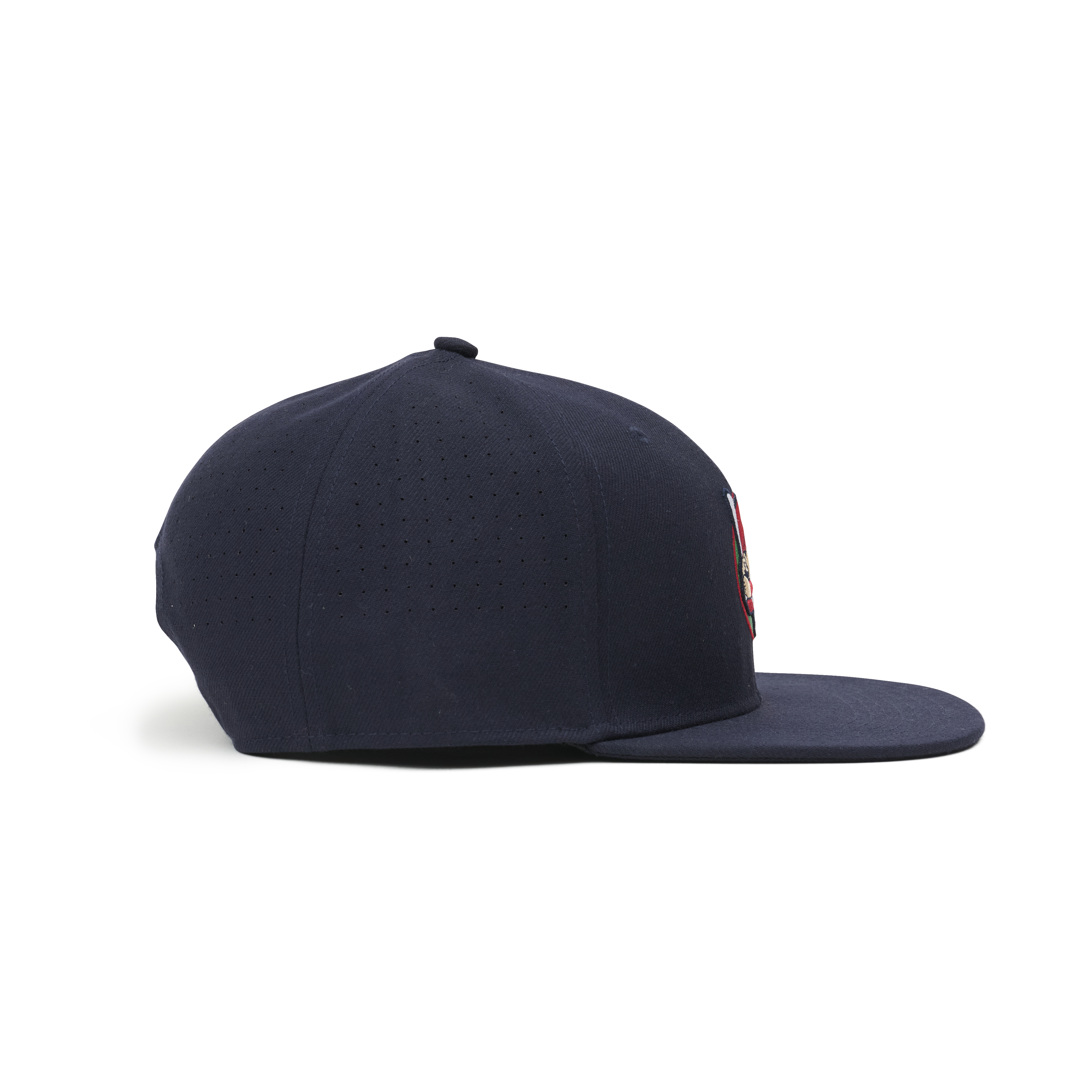 Carp カープ坊や B-Union Standard Grand Prix